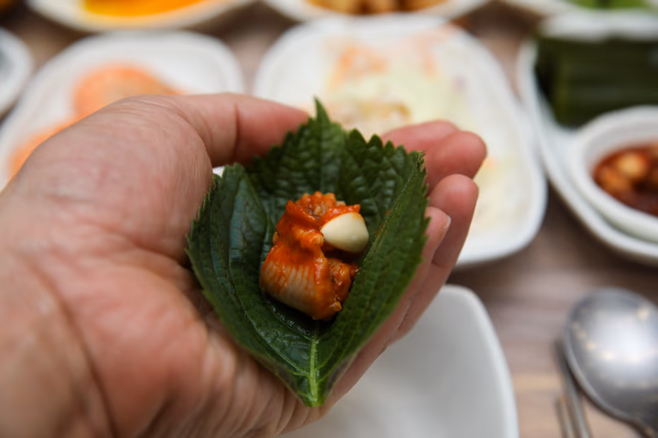 깻잎 쌈에 양념 꼼장어를 올려 싸는 장면, 다른 앵글 클로즈업