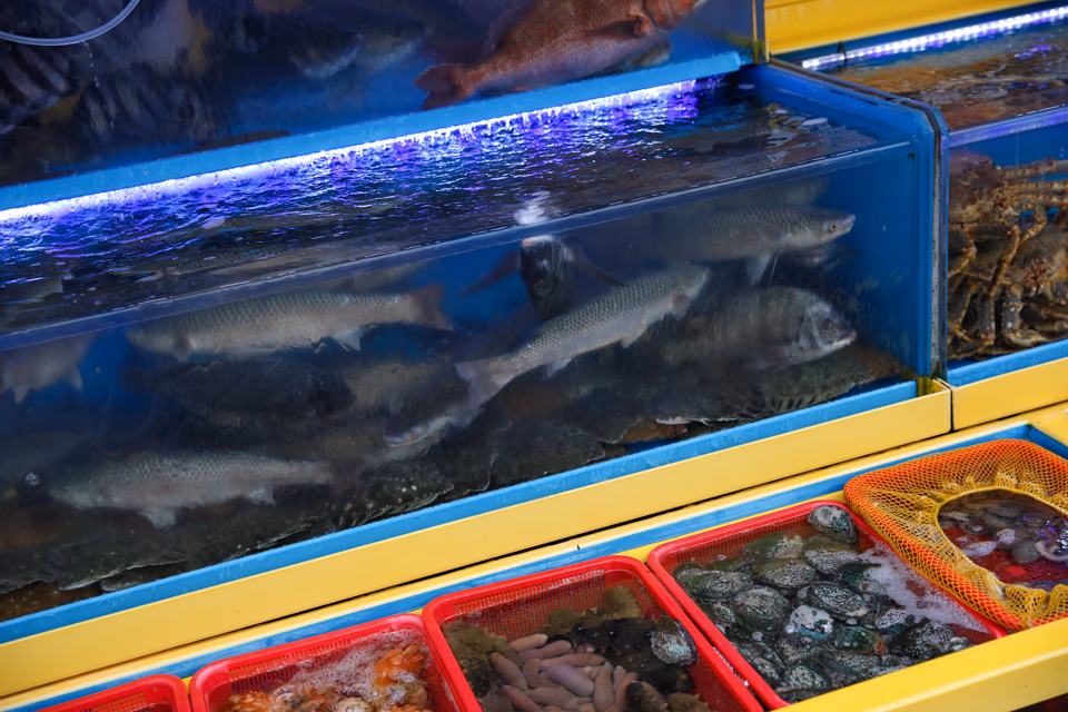 札嘎其海鮮餐廳門口水族箱, 活魚、螃蟹、龍蝦
