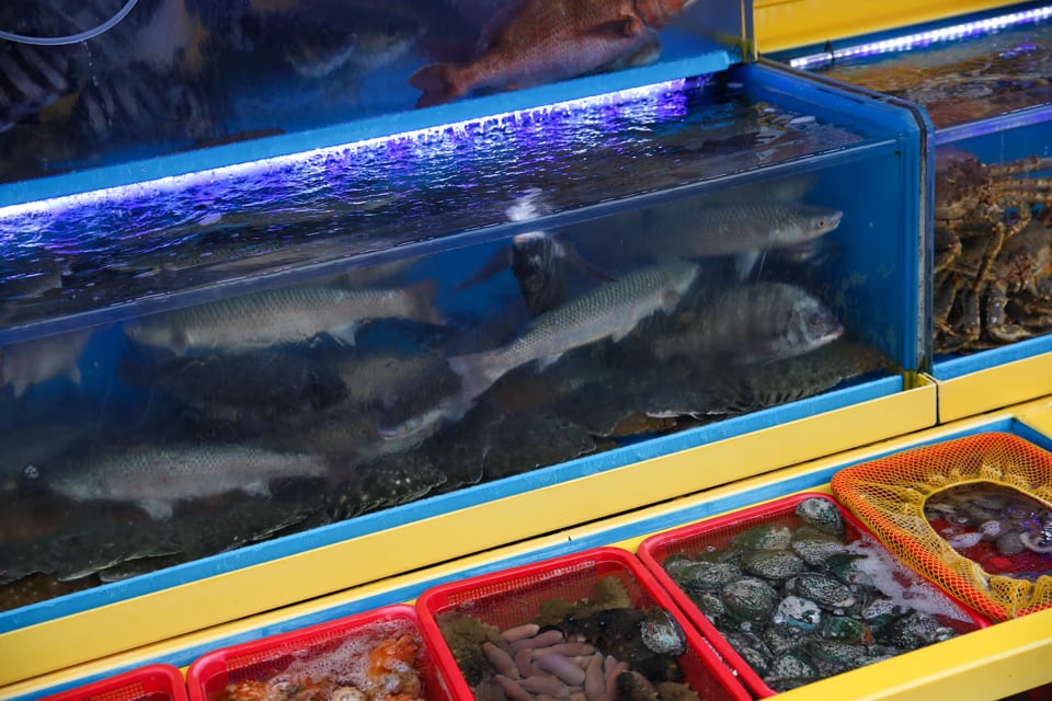 札嘎其海鮮餐廳門口水族箱, 活魚、螃蟹、龍蝦